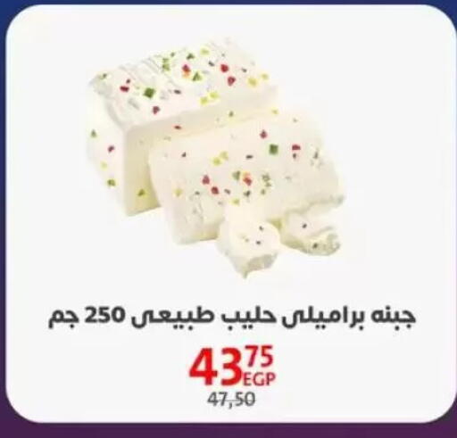 available at Arab DownTown in Egypt - Cairo