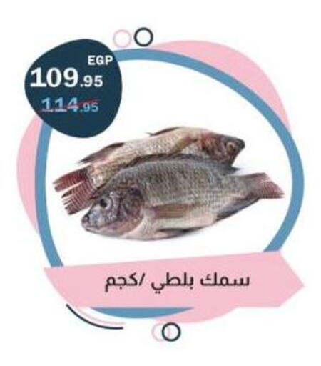 available at Flamingo Hyper Market in Egypt - Cairo
