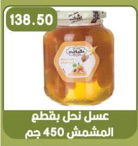 available at هايبر القدس in Egypt - القاهرة