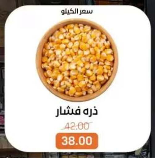 available at بيت الجملة in Egypt - القاهرة