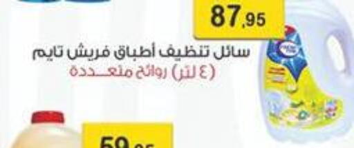 available at Abu Saleh Dairy Market in Egypt - Cairo