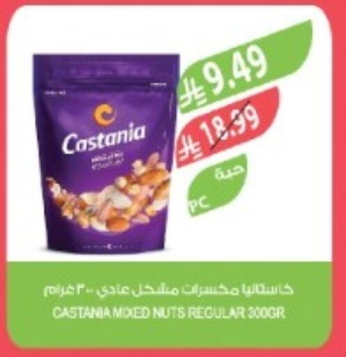 available at المزرعة in مملكة العربية السعودية, السعودية, سعودية - تبوك