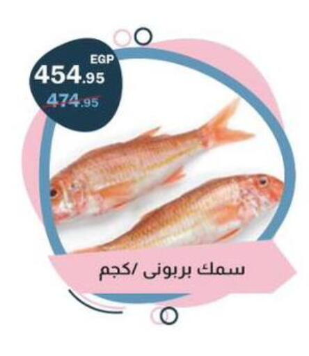 available at Flamingo Hyper Market in Egypt - Cairo