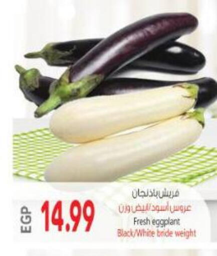 Eggplant available at Al Hussieny Super Market in Egypt - Cairo