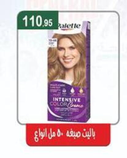 available at Abu Saleh Dairy Market in Egypt - Cairo