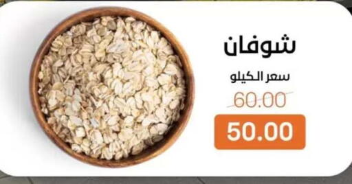 available at بيت الجملة in Egypt - القاهرة