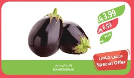 available at المزرعة in مملكة العربية السعودية, السعودية, سعودية - تبوك
