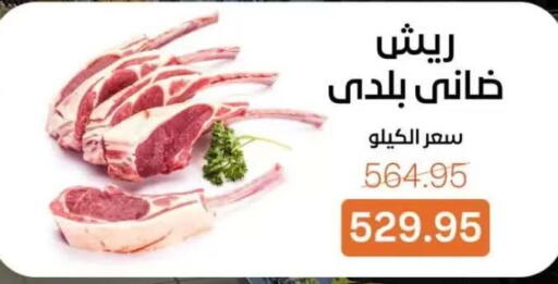 available at بيت الجملة in Egypt - القاهرة