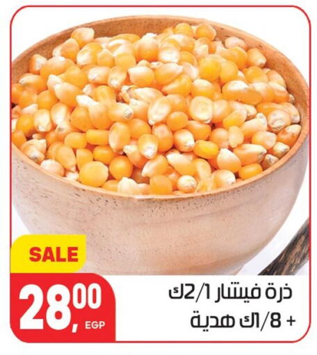 available at Hyper El Mansoura Shobra in Egypt - Cairo