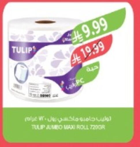 available at المزرعة in مملكة العربية السعودية, السعودية, سعودية - تبوك