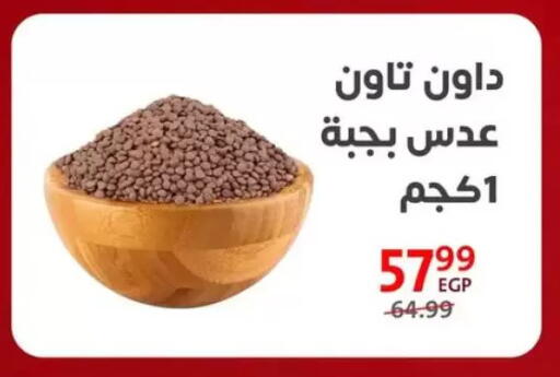 available at Arab DownTown in Egypt - Cairo