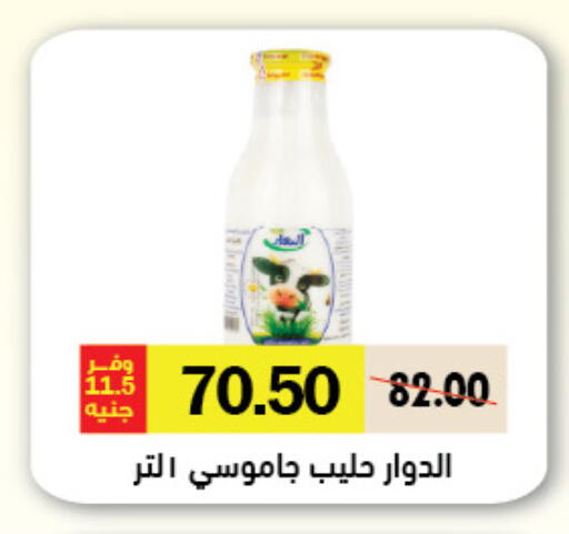 available at Royal House in Egypt - Cairo