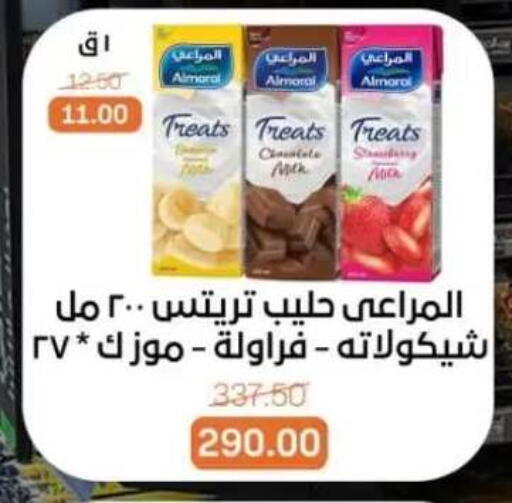available at بيت الجملة in Egypt - القاهرة