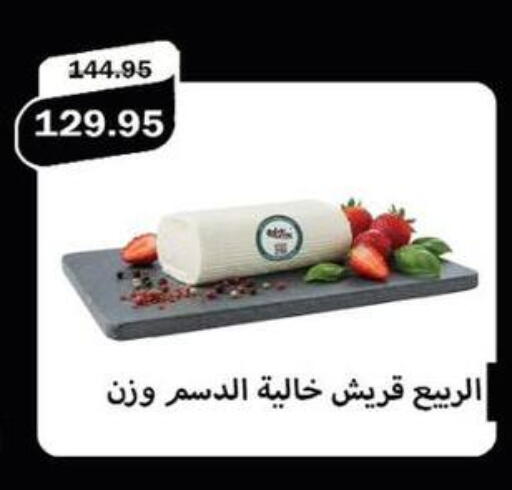 available at Flamingo Hyper Market in Egypt - Cairo