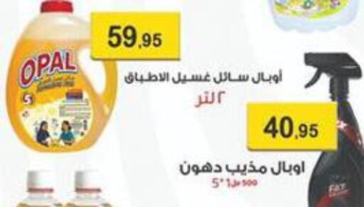 available at Abu Saleh Dairy Market in Egypt - Cairo