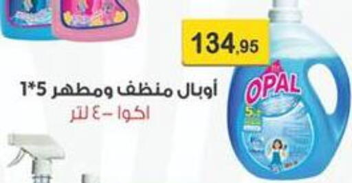 available at Abu Saleh Dairy Market in Egypt - Cairo