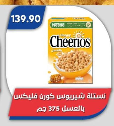 available at Bassem Market in Egypt - Cairo