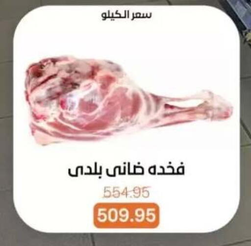 available at بيت الجملة in Egypt - القاهرة