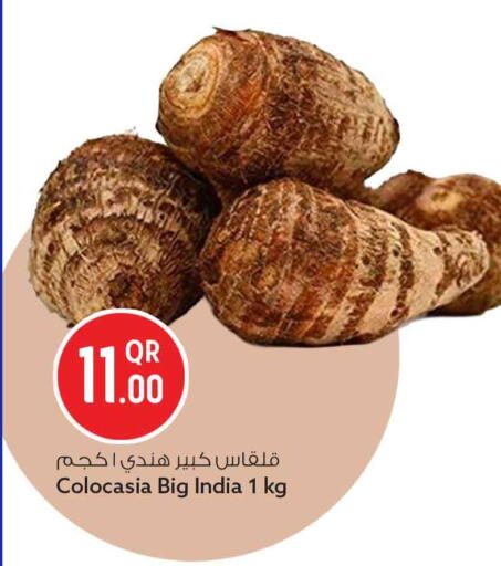 from India available at Safari Hypermarket in Qatar - Umm Salal