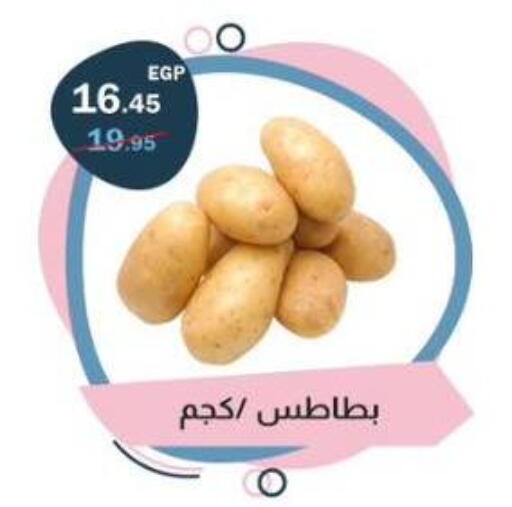 available at Flamingo Hyper Market in Egypt - Cairo