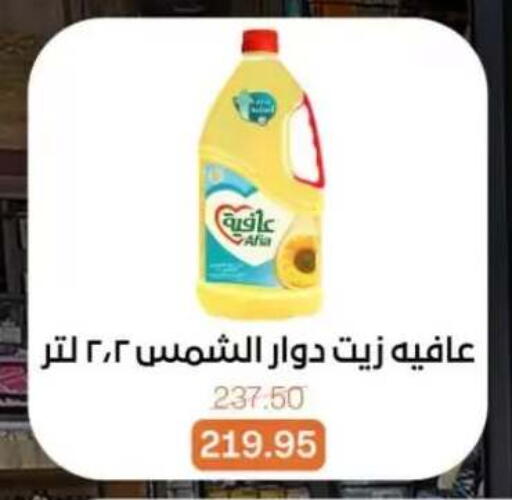 available at بيت الجملة in Egypt - القاهرة