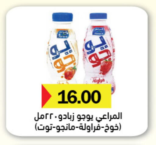 available at Royal House in Egypt - Cairo