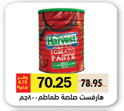 Tomato available at Royal House in Egypt - Cairo