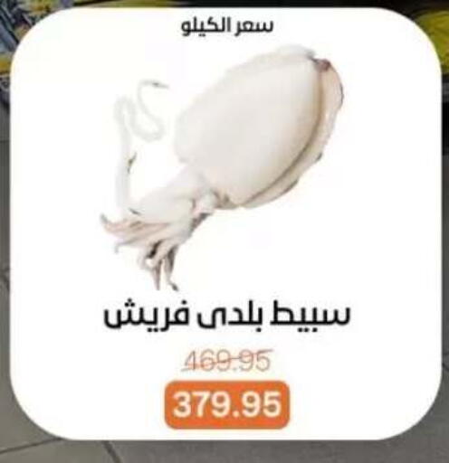 available at بيت الجملة in Egypt - القاهرة