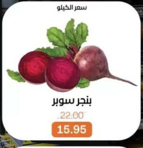 available at بيت الجملة in Egypt - القاهرة