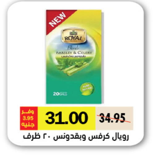 Parsley Celery available at Royal House in Egypt - Cairo