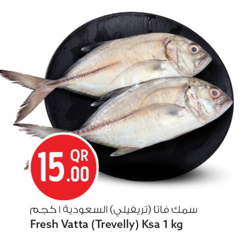 available at سفاري هايبر ماركت in قطر - الشحانية