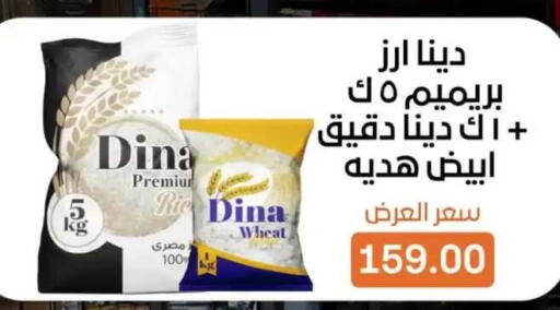 available at بيت الجملة in Egypt - القاهرة