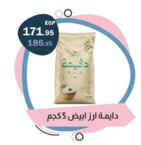 available at Flamingo Hyper Market in Egypt - Cairo
