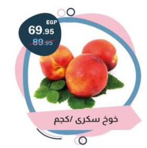 available at Flamingo Hyper Market in Egypt - Cairo