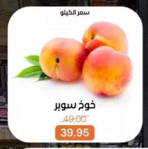 available at بيت الجملة in Egypt - القاهرة