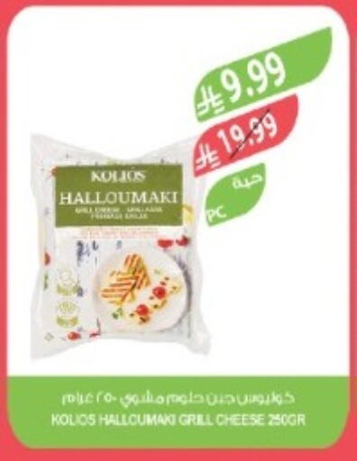 available at المزرعة in مملكة العربية السعودية, السعودية, سعودية - تبوك