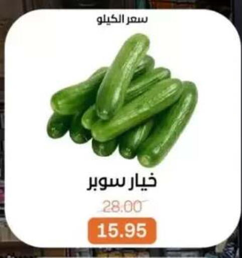 available at بيت الجملة in Egypt - القاهرة
