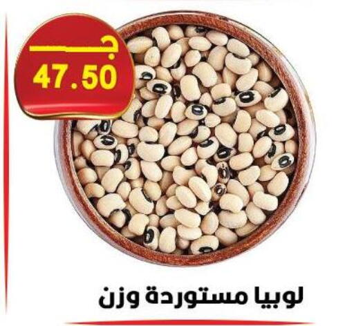 available at هايبر القدس in Egypt - القاهرة