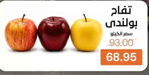 available at بيت الجملة in Egypt - القاهرة