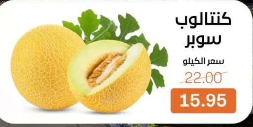 available at بيت الجملة in Egypt - القاهرة