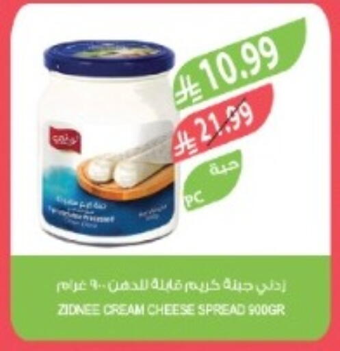 available at المزرعة in مملكة العربية السعودية, السعودية, سعودية - تبوك