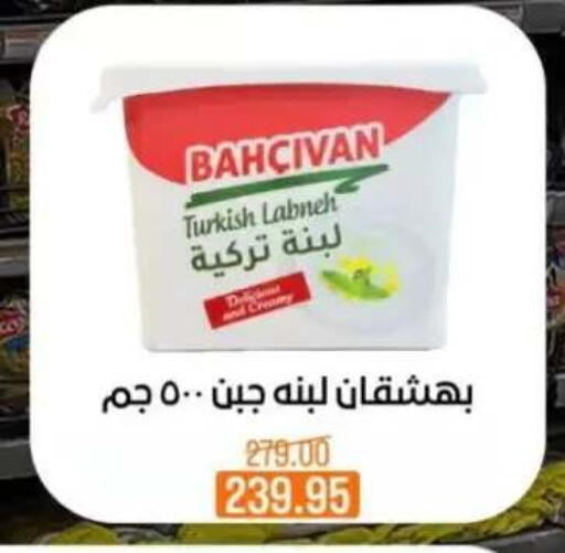 available at بيت الجملة in Egypt - القاهرة