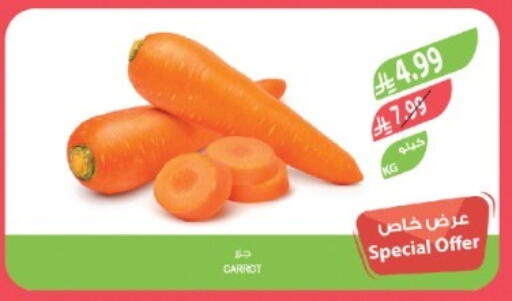 Carrot available at المزرعة in مملكة العربية السعودية, السعودية, سعودية - تبوك