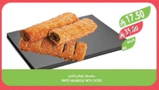 available at المزرعة in مملكة العربية السعودية, السعودية, سعودية - تبوك