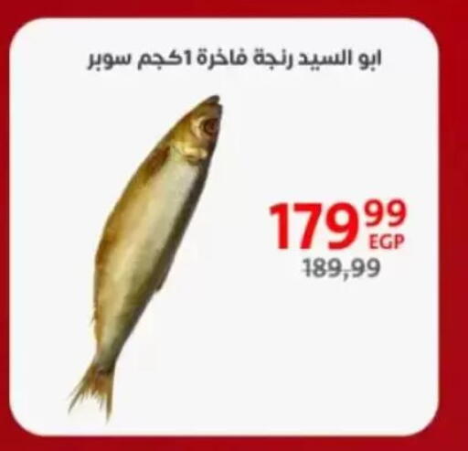 available at Arab DownTown in Egypt - Cairo