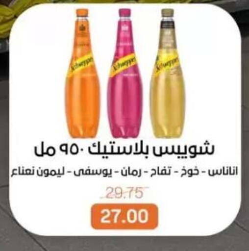 available at بيت الجملة in Egypt - القاهرة