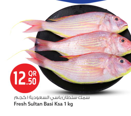 available at سفاري هايبر ماركت in قطر - الشحانية
