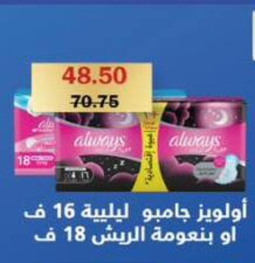 available at Flamingo Hyper Market in Egypt - Cairo