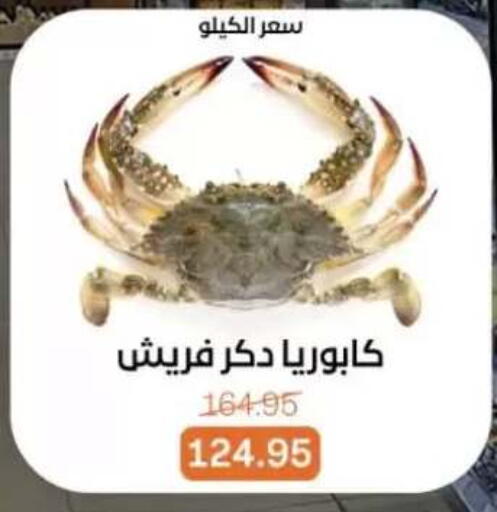 available at بيت الجملة in Egypt - القاهرة