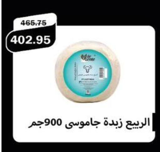 available at Flamingo Hyper Market in Egypt - Cairo